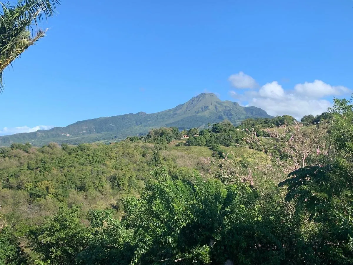 Lodge Colibris: Panoramic Sea and Mountain Views near Caribbean Beach Le Carbet Martinique