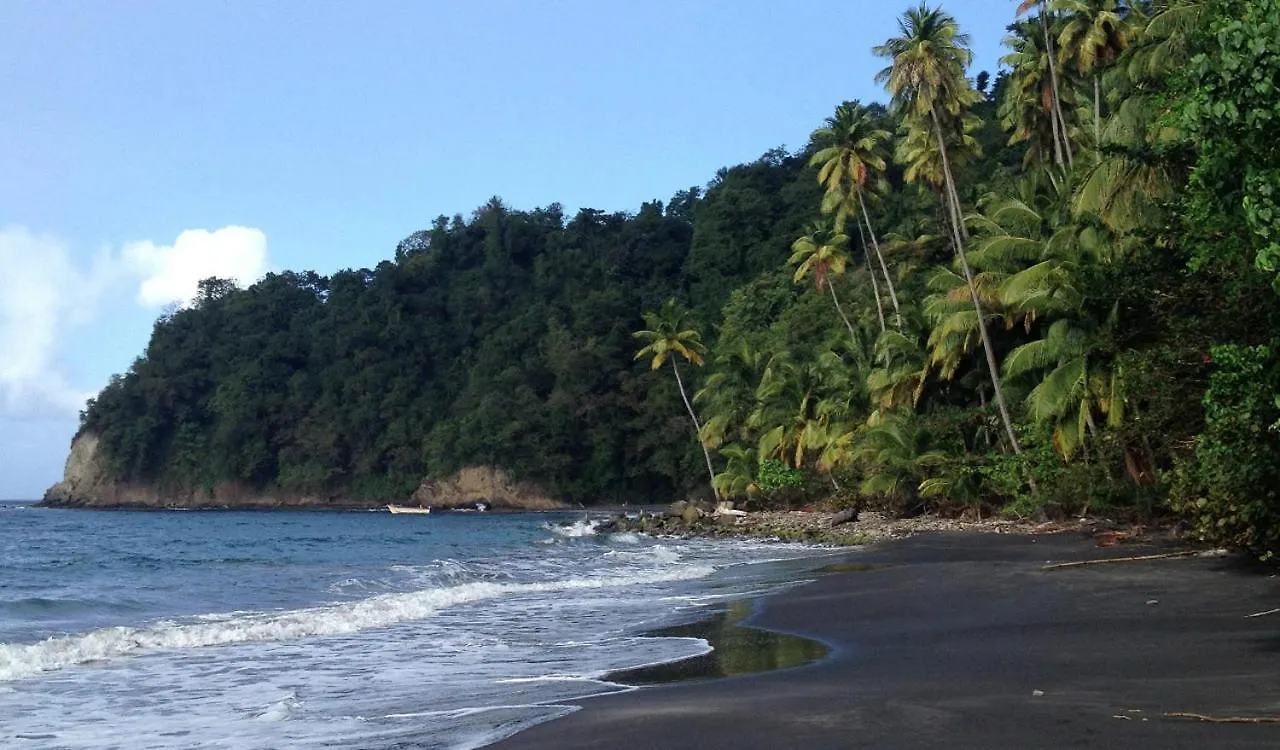 Lodge Colibris: Panoramic Sea and Mountain Views near Caribbean Beach Le Carbet Holiday home