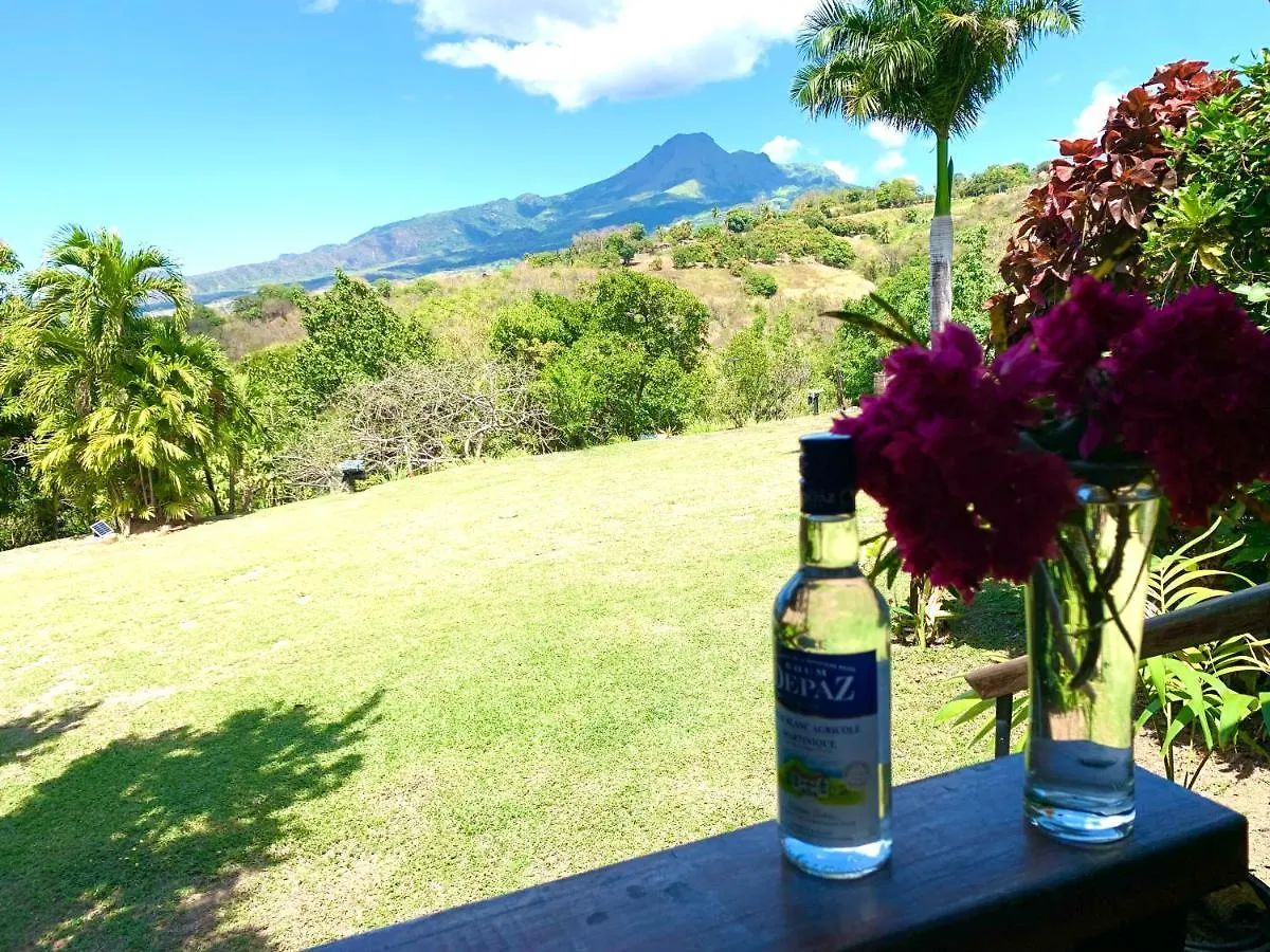 Lodge Colibris: Panoramic Sea and Mountain Views near Caribbean Beach Le Carbet 0*,  Martinique