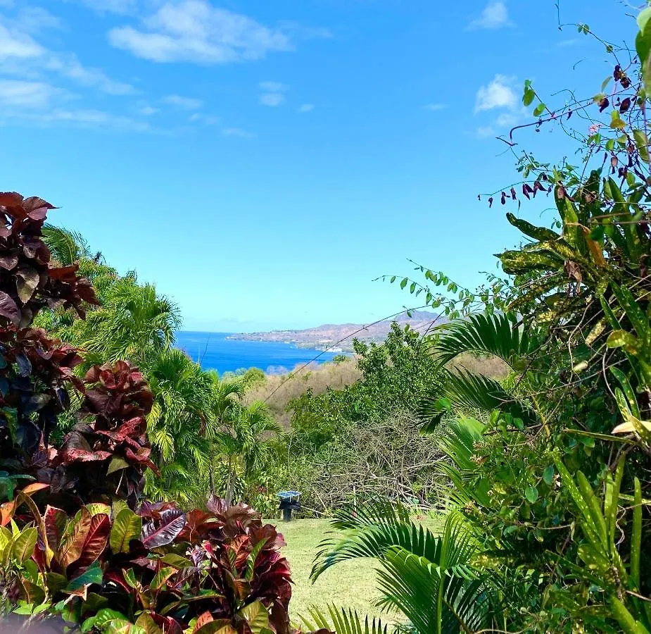 Lodge Colibris: Panoramic Sea and Mountain Views near Caribbean Beach Le Carbet Holiday home