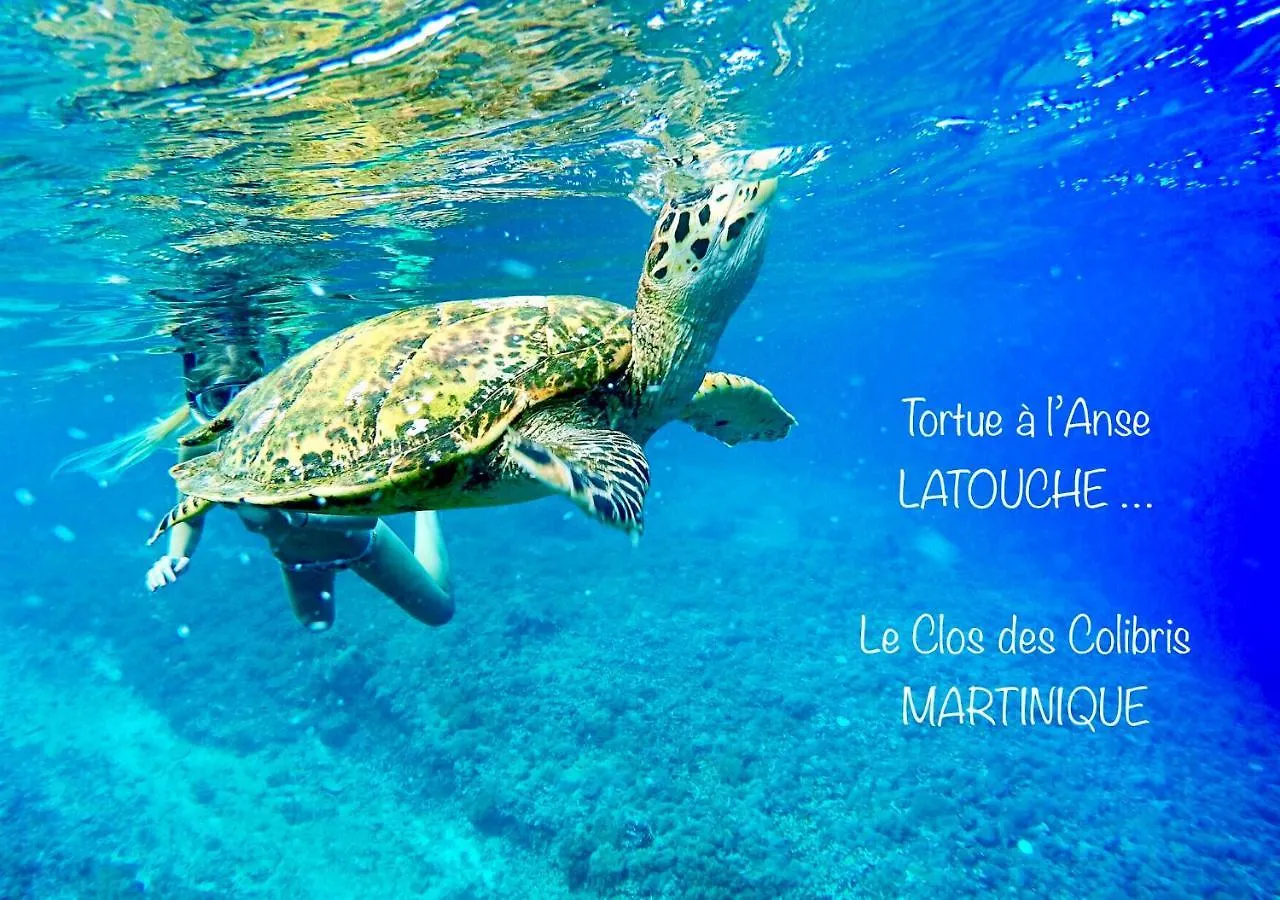 Lodge Colibris: Panoramic Sea and Mountain Views near Caribbean Beach Le Carbet Holiday home