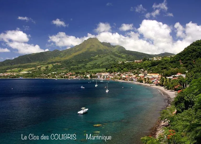 Lodge Colibris: Panoramic Sea and Mountain Views near Caribbean Beach Le Carbet